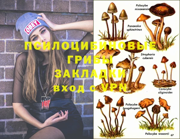 прущая мука Белокуриха