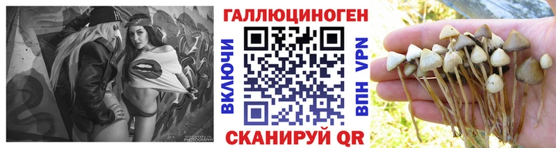 darknet клад  Кириши  Галлюциногенные грибы прущие грибы  купить закладку 